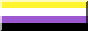 non-binary flag